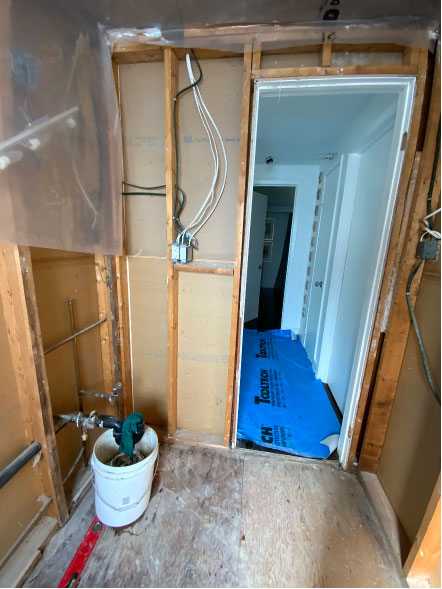 LUPIN BATHROOM Renovation